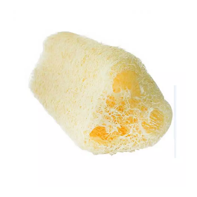 BUCHA VEGETAL FIBRA FORTE